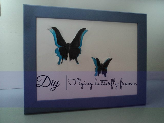 diy flying butterfly frame